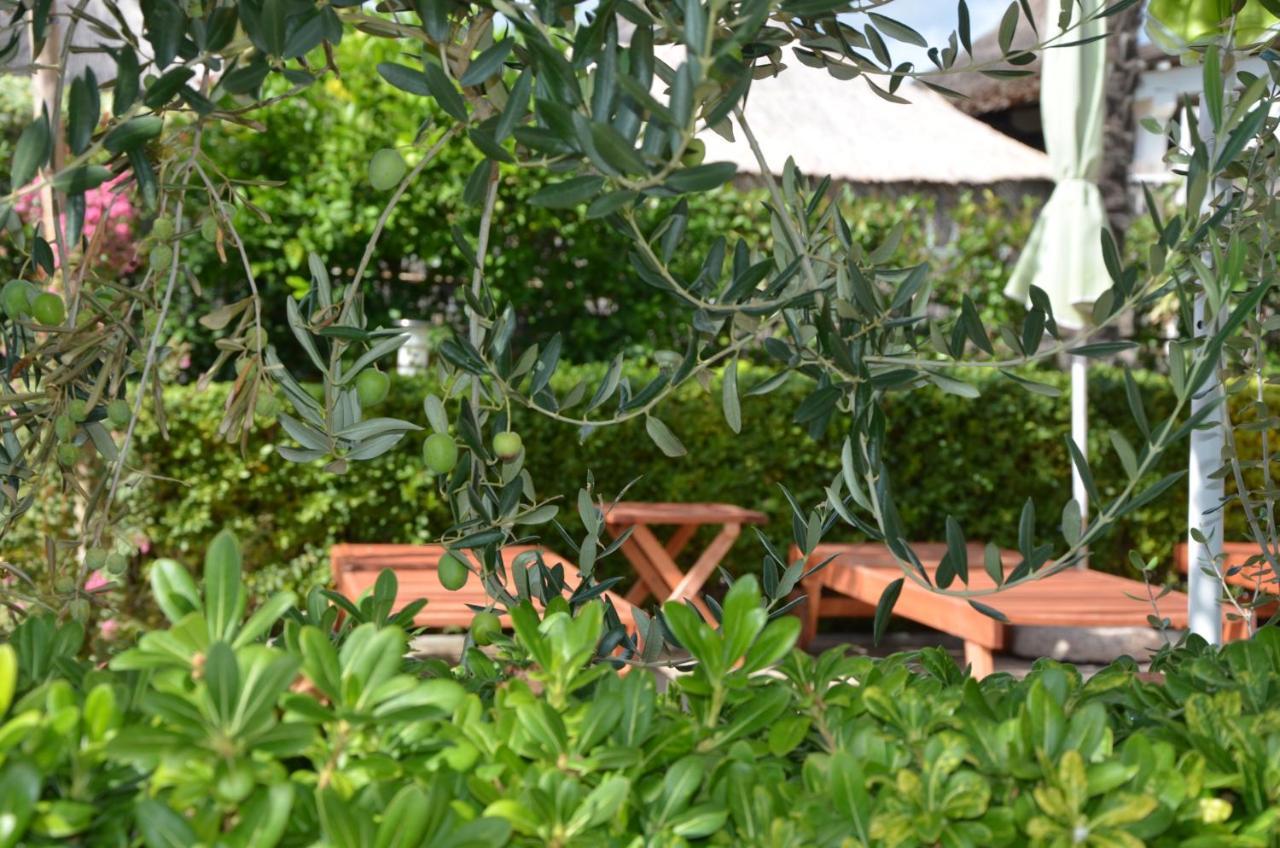 Villa Katarina Srima Bagian luar foto